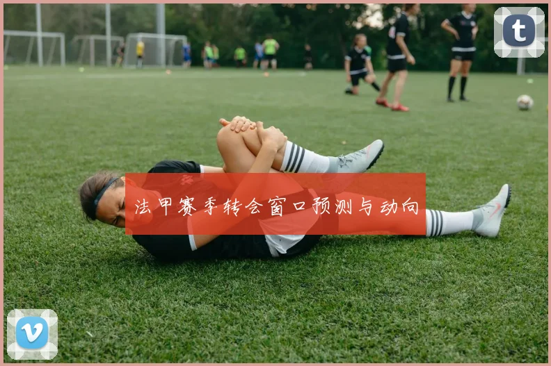 法甲赛季转会窗口预测与动向