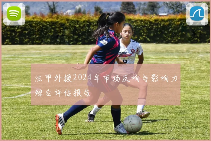 法甲外援2024年市场反响与影响力综合评估报告