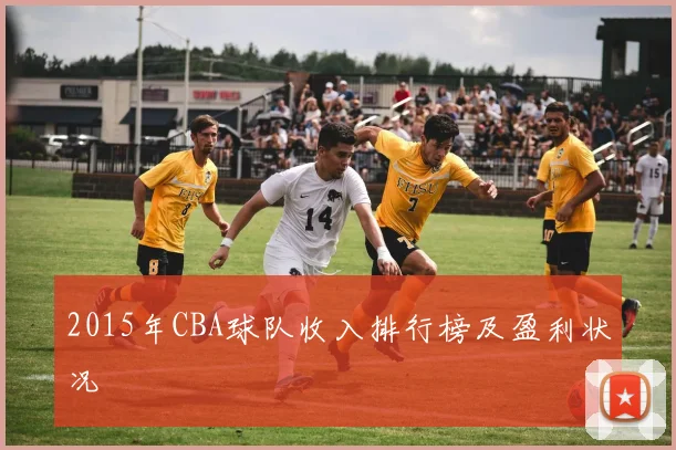 2015年CBA球队收入排行榜及盈利状况