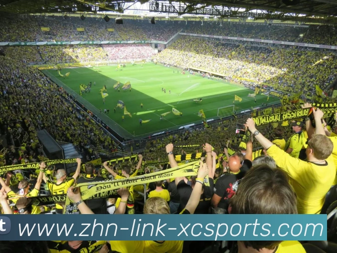 杏彩体育发展历程